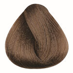 Professional by Fama Coloration permanente Absolute 6 80ML