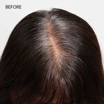 Paul Mitchell The Color 10 Coloration Permanente 90ml
