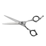 Barnum Ciseaux Professionnels 6,0"