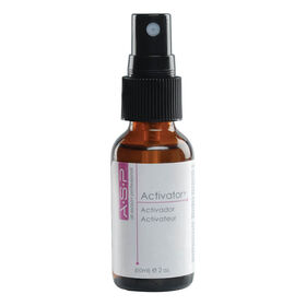 ASP Spray Activateur pour Fibre de Verre 59ml