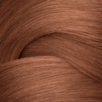 Redken Shades EQ Bonder Inside Coloration capillaire demi-permanent - 06NB Brandy 60ml