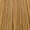 9.31 Very Light Gold Ash Blonde