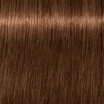 Schwarzkopf Professional Igora Royal Absolutes Coloration permanente 60ml 6-460 Blond Foncé Beige Marron Naturel