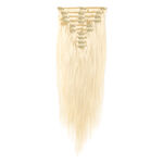 Wildest Dreams Extensions à Clips - Set Tête Complète 45cm