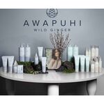 Paul Mitchell Awapuhi Spray Coiffant Hydromist 150ml