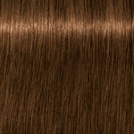 Schwarzkopf Professional Igora Royal Absolutes Coloration permanente 60ml 6-60 Blond Foncé Marron Naturel