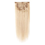 Wildest Dreams Extensions à Clips - Set Demi-Tête 45cm