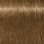 Schwarzkopf Professional Igora Royal Absolutes Coloration permanente 60ml 8-140 Blond Clair Cendré Beige Naturel