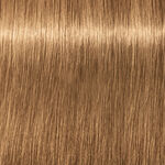 Schwarzkopf Professional Igora Royal Absolutes Coloration permanente 60ml 8-50 Blond Clair Doré Naturel