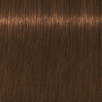 Schwarzkopf Professional Igora Royal Absolutes Coloration permanente 60ml 7-460 Blond Moyen Beige Marron Naturel