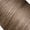 8.71 Blond Clair Marron Cendré
