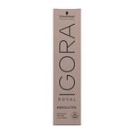 Schwarzkopf Professional Igora Royal Absolutes Coloration permanente 60ml 6-60 Blond Foncé Marron Naturel