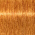 Schwarzkopf Professional Igora Vibrance Coloration Permanente 60ml 9.7 Blond Extra Clair Cuivre