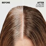 Wella Professionals Color Xpress – Vegan Xpress Touch-up blond moyen cendré 7/1 60 ml