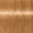 9.57 Extra Light Blonde Gold Copper