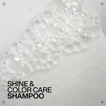 Redken Acidic Colour Gloss Shampooing 1L