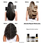 L'Oréal Professionnel Absolute Repair Molecular Huile Bi-Phase Oil 30ml