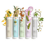 Paul Mitchell Clean Beauty Scalp Shampooing 250ml
