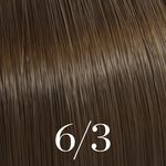 Wella Professionals Color Touch Coloration demi-permanente 6/3 Blond Fonc&eacute; Dor&eacute; 60ml