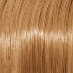 Schwarzkopf Professional Igora Royal Absolutes Coloration permanente 60ml 9-60 Blond Trés Clair Marron Naturel