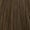 6.0. Dark blonde
