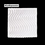L'Oréal Professionnel Série Expert Curl Expression Masque