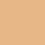 Andreia Professional - Eyeliner Waterproof Nude Velvet 12H