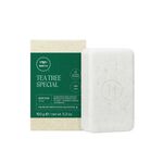 Paul Mitchell Tea Tree Special Pain Corps 150 g