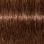 Schwarzkopf Professional Igora Vibrance Coloration Permanente 60ml 6.68 Blond Foncé Chocolat Rouge