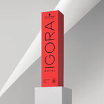 Schwarzkopf Professional Igora Royal Coloration Permanente 60ml 6-00
