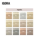 Schwarzkopf Professional Igora Royal High Lift 60ml 10-4