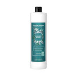Eug&egrave;ne Perma Carmen Rituel Activateur Cr&egrave;me 20V 1L