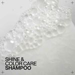 Redken Acidic Colour Gloss Shampooing 300ml