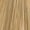 9.00 Very Light Intense Blonde