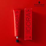 Schwarzkopf Professional Igora Royal Take Over 8-21 Refroidis 60ml