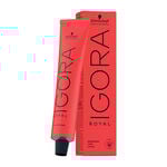 Schwarzkopf Professional Igora Royal Coloration Permanente 60ml 8-65