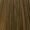 7.13 Ash Gold Blonde