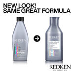 Redken Color Extend Graydiant Après-Shampooing 300ml