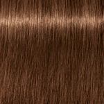 Schwarzkopf Professional Igora Royal Absolutes Coloration permanente 60ml 7-60 Blond Moyen Marron Naturel