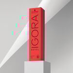 Schwarzkopf Professional Igora Royal Coloration Permanente 60ml 1-0