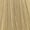 10.1 Lightest Ash Blonde