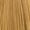 8.3 Light Gold Blonde