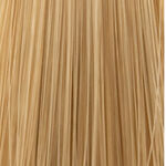 XP200 Natural Flair Coloration Permanente 100ml 10.31 Blond Doré Cendré le Plus Clair