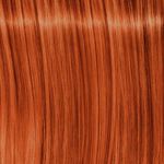 Schwarzkopf Professional Igora Royal Coloration Permanente Mix 60ml 0-77