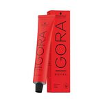 Schwarzkopf Professional Igora Royal Take Over 9-67 Blond Très Clair Chocolat Cuivré 60ml