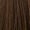 5.34 Light Gold Copper Brown