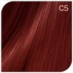 Revlon Revlonissimo Colorsmetique Rouges 60ml