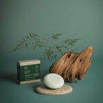 Paul Mitchell Tea Tree Barre de Shampooing Spéciale 79g