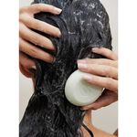 Paul Mitchell Tea Tree Barre de Shampooing Spéciale 79g