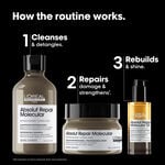 L'Or&eacute;al Professionnel Absolut Repair Molecular Coffret Cadeau Trio